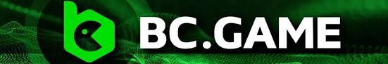 Discover the World of Crypto Casino at BC.Game